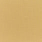 Canvas Brass