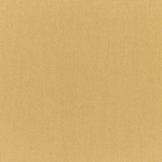 Canvas Brass