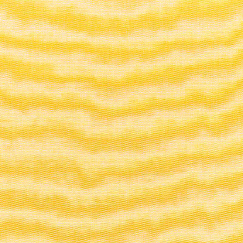Canvas Buttercup