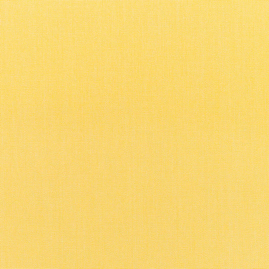 Canvas Buttercup