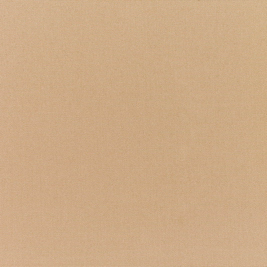 Canvas Camel