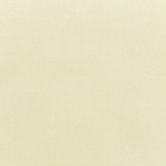 Canvas Canvas