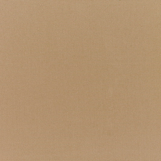 Canvas Cocoa