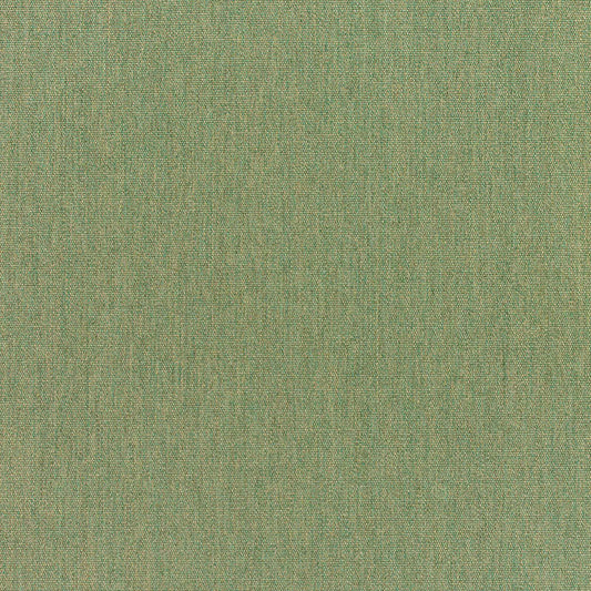 Canvas Fern
