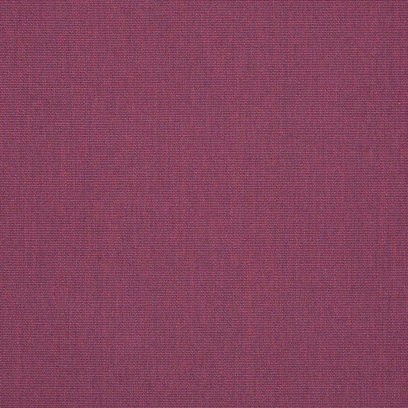Canvas Iris