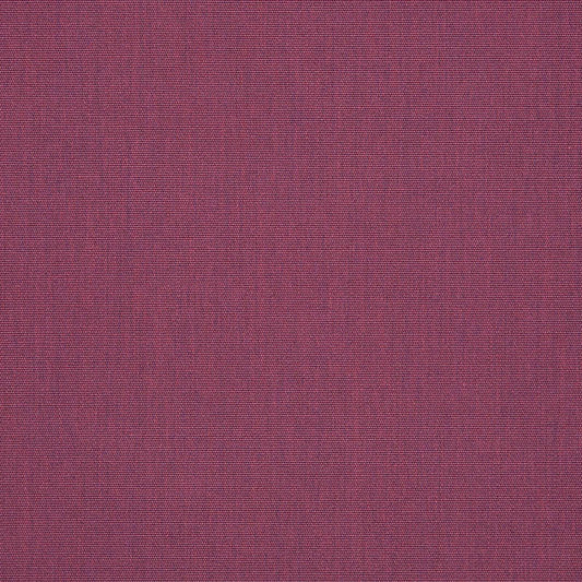 Canvas Iris