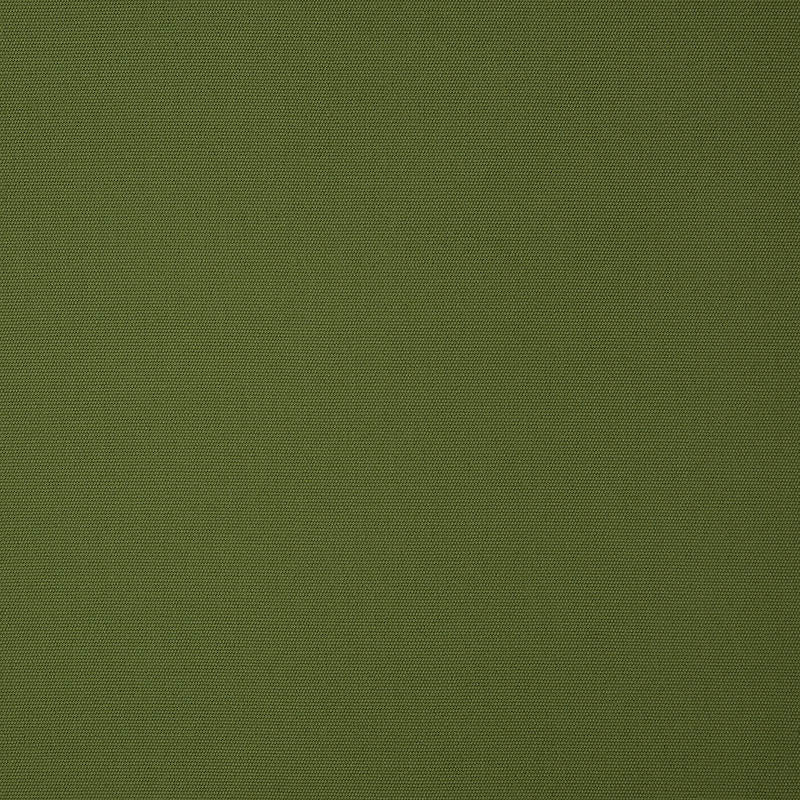 Canvas Palm