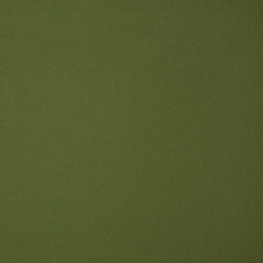 Canvas Palm