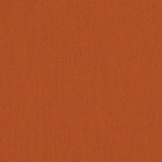 Canvas Rust
