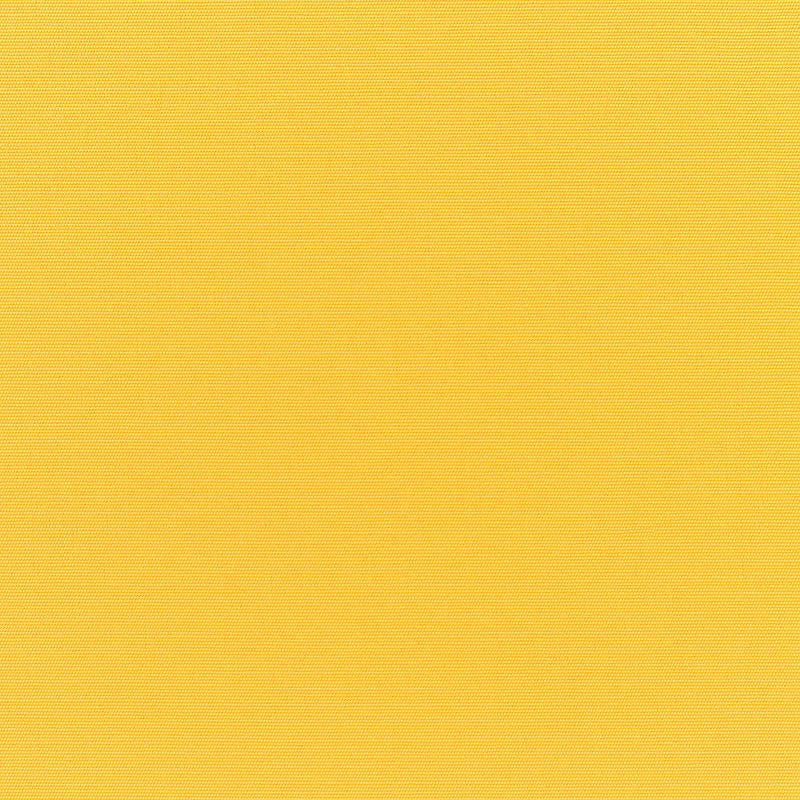 Canvas Sunflower