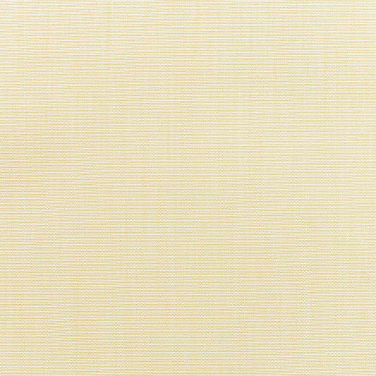 Canvas Vellum