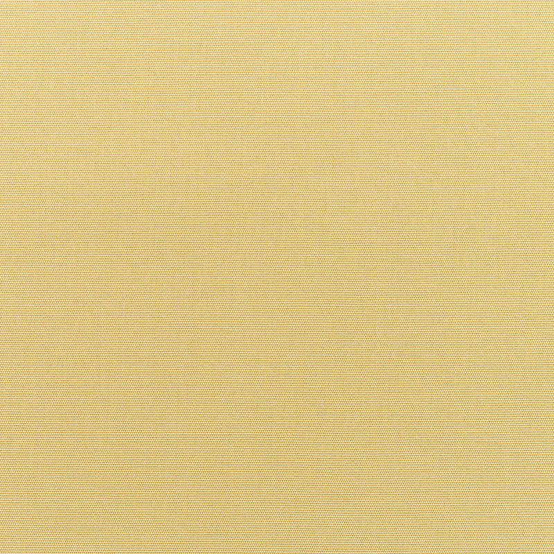 Canvas Wheat