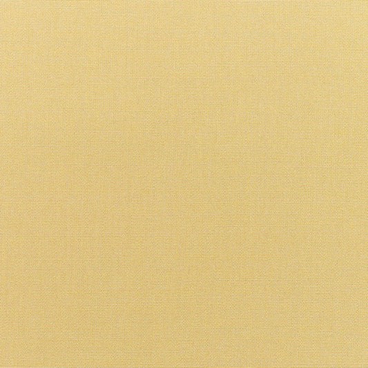 Canvas Wheat