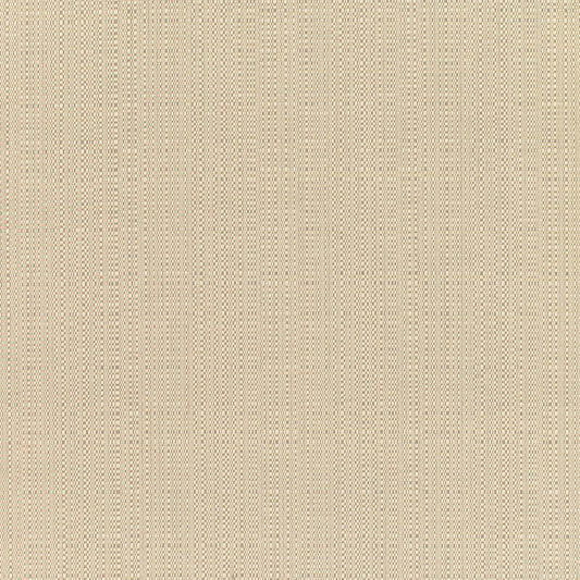 Linen Champagne