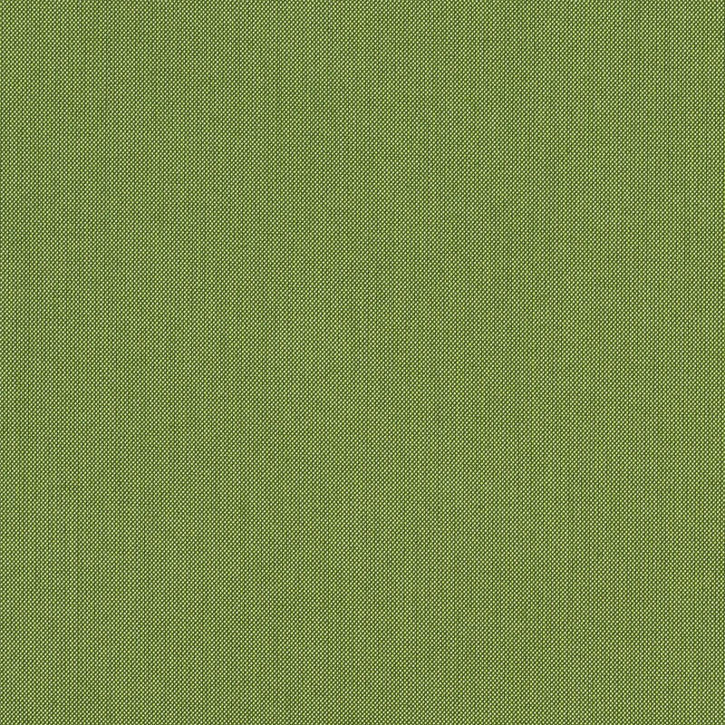 Spectrum Cilantro