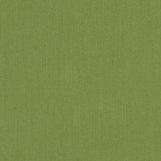 Spectrum Cilantro