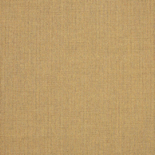 Spectrum Sesame